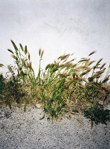 Image de la photographe Bérangère Fromont pour le livre Cosmos publié par André Frère Éditions